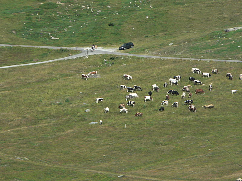 colle delle Finestre