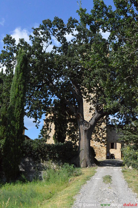 castello degli Aldighieri