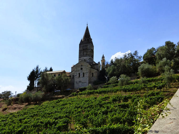 basilica dei Fieschi