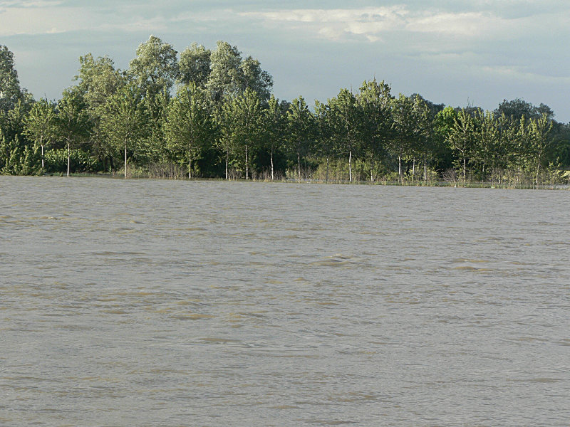 fiume Po: la piena