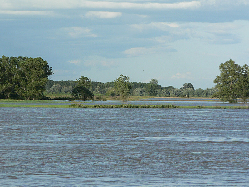 fiume Po: la piena