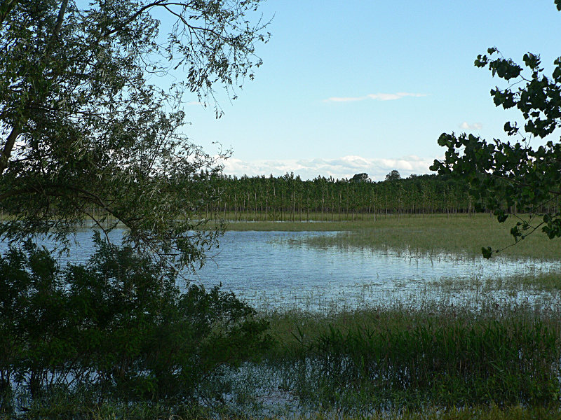 fiume Po: la piena