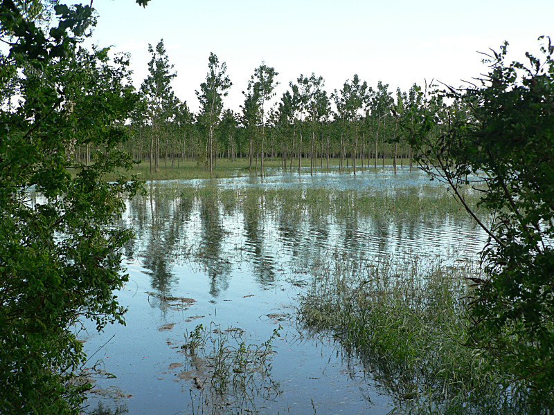 fiume Po: la piena