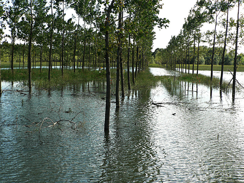 fiume Po: la piena