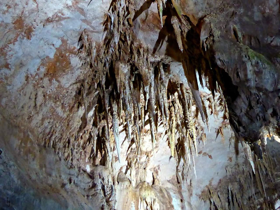 costa di Baunei, grotta del Fico