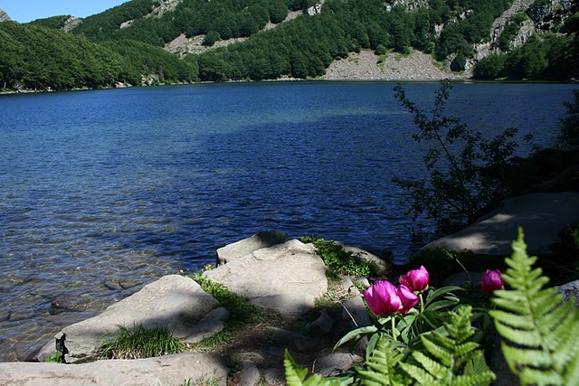 lake Santo Parma