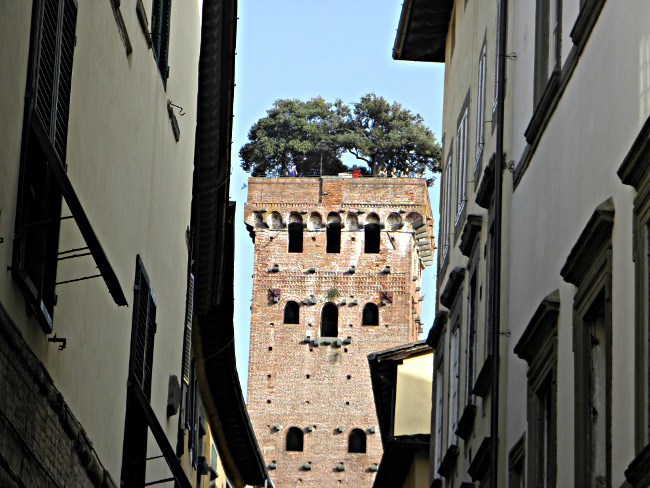 Lucca