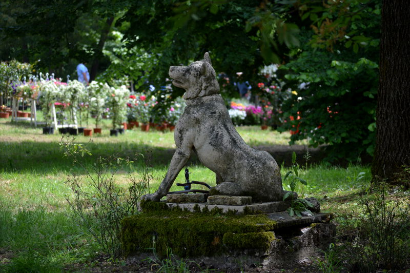 Carignano, villa Malenchini