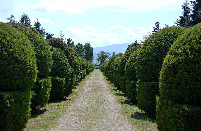 Carignano, villa Malenchini