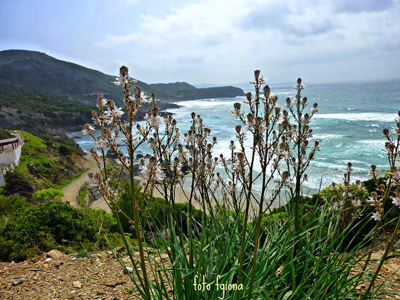 Porto Flavia e spiagge di Masua