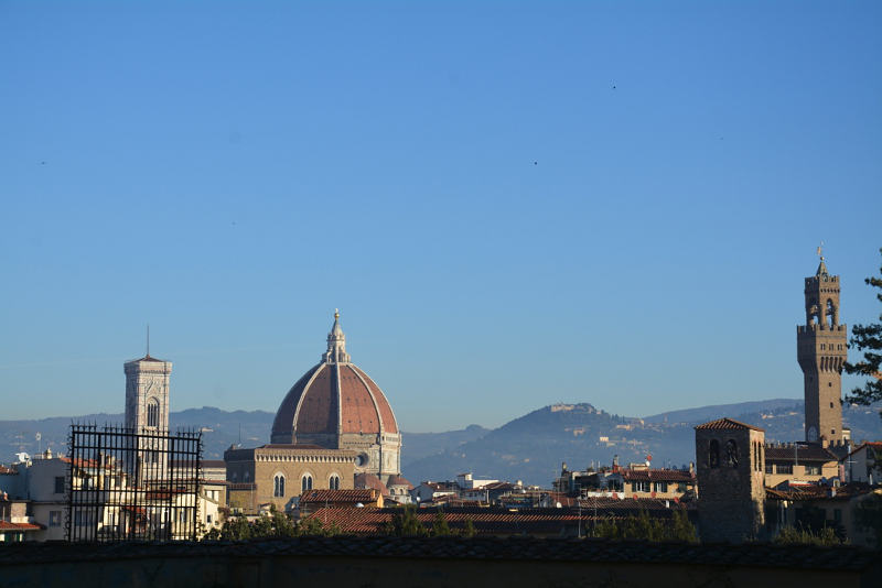 meravigliosa Firenze