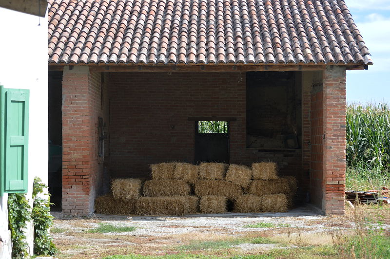 mercato agricolo del gusto