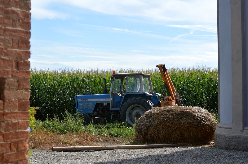 mercato agricolo del gusto