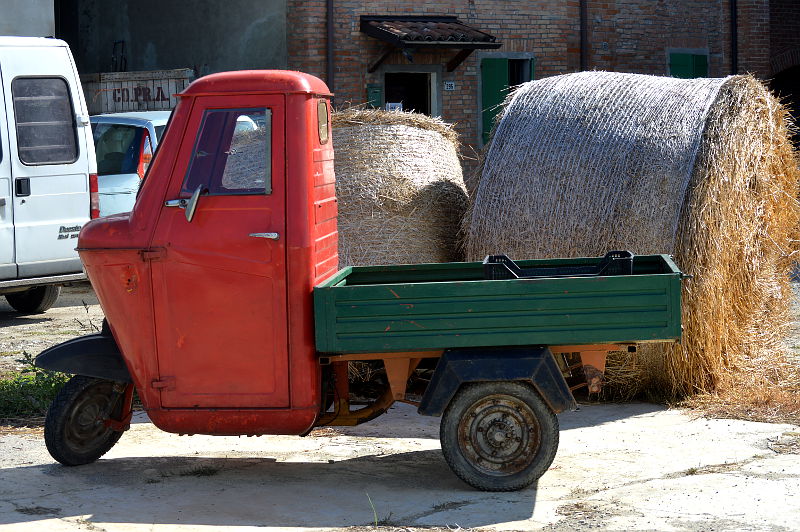 mercato agricolo del gusto