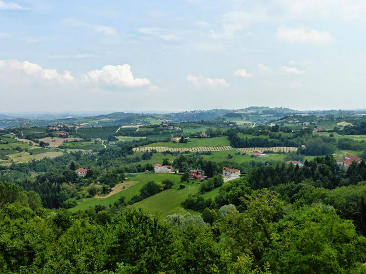 le Langhe: Mondovì