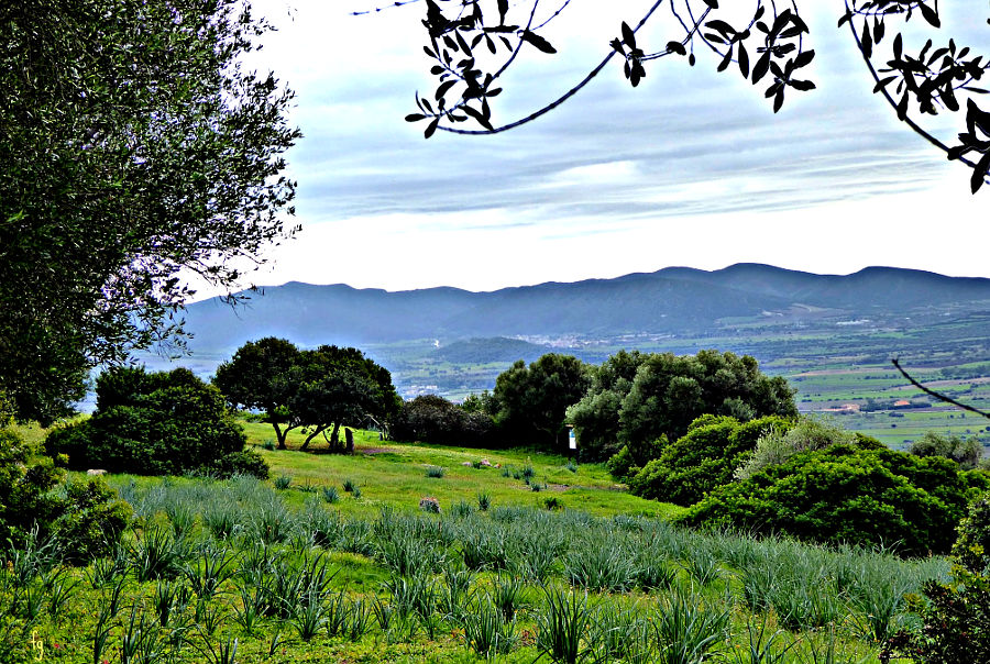 Montessu necropolis