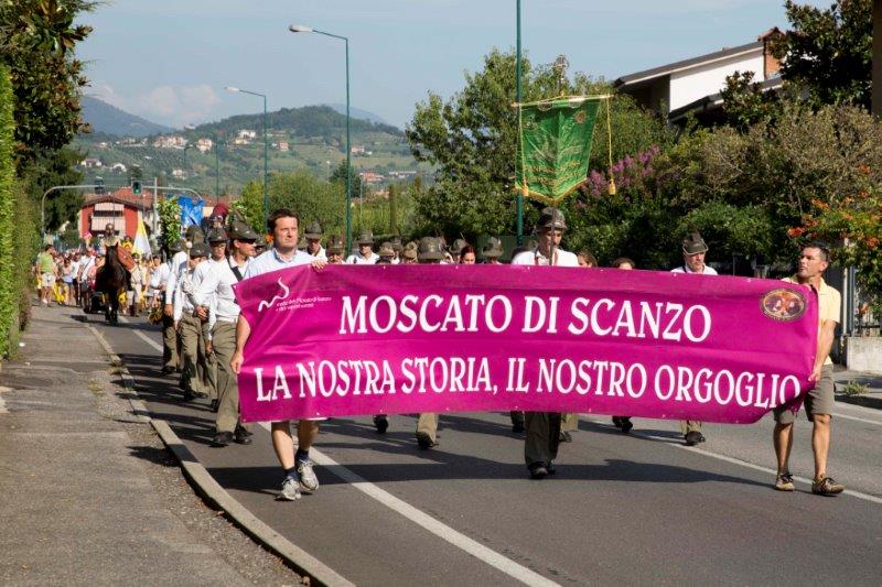 moscato di Scanzo