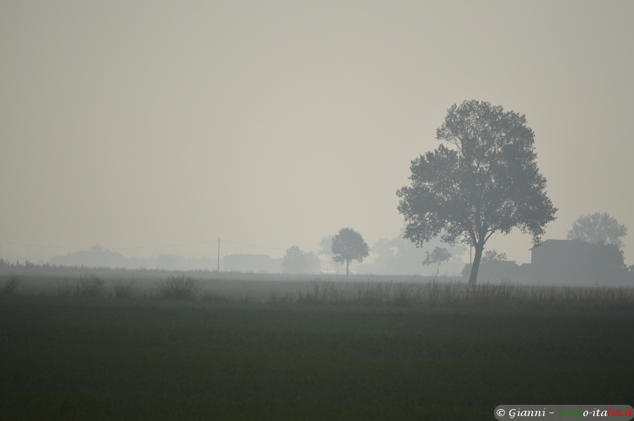 nebbia della Bassa