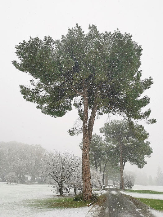 nevicata al Parco Giardino Sigurtà