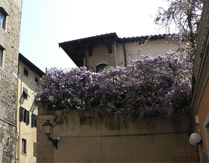 passeggiando per Pisa