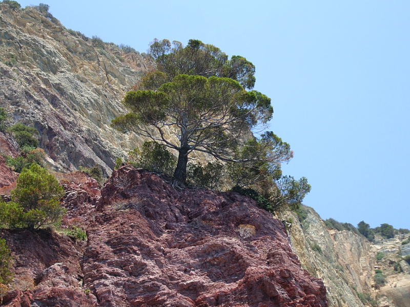 le rocce rosse - Portovenere