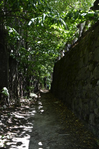 Mattei castle