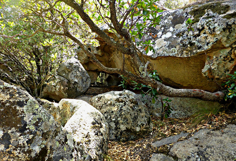 Tomba Dei Giganti Quartucciu