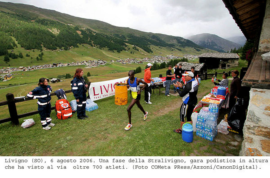 stralivigno 2007