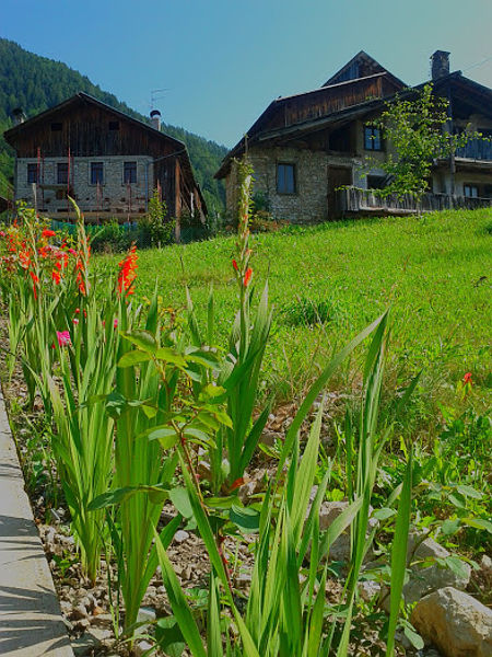 Valle di Cadore