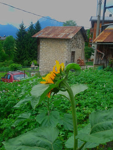 Valle di Cadore