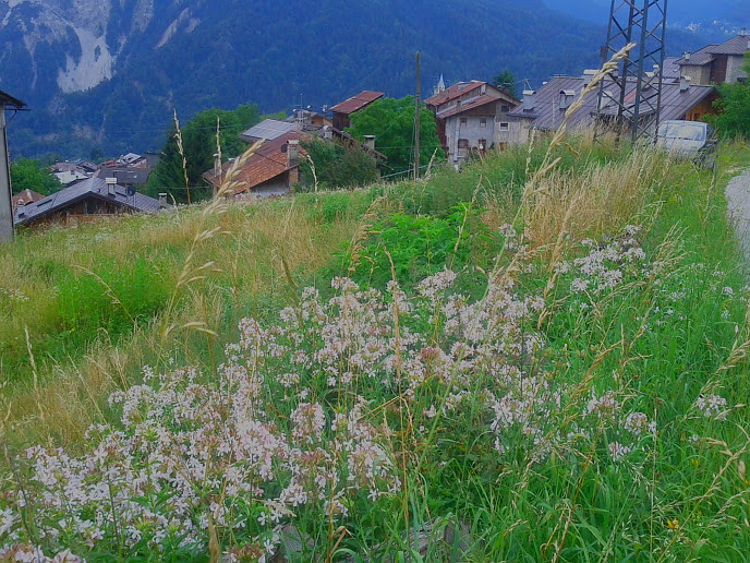 Valle di Cadore