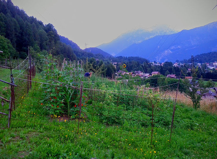 Valle di Cadore