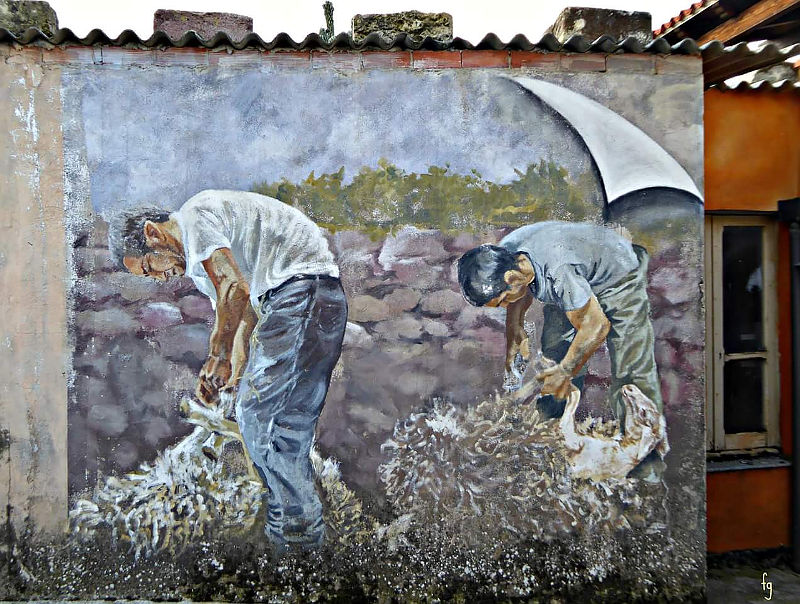 Tinnura, murales