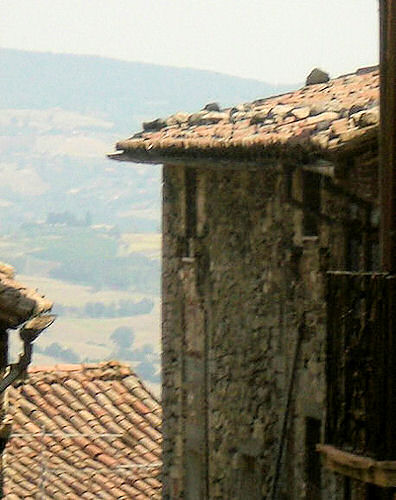 Todi