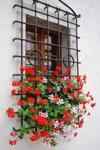 casa Galeazzi del Carmine