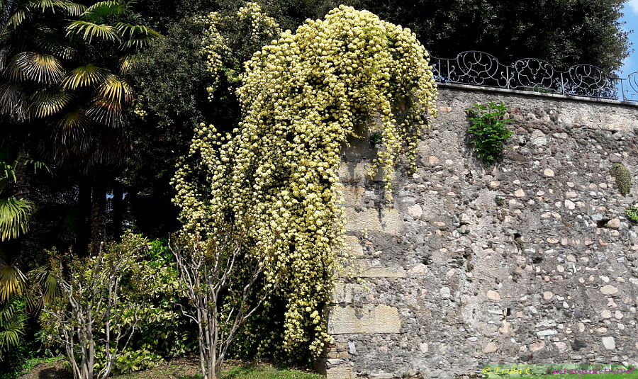 villa Menafoglio Litta Panza