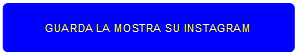 Rettangolo arrotondato: GUARDA LA MOSTRA SU INSTAGRAM